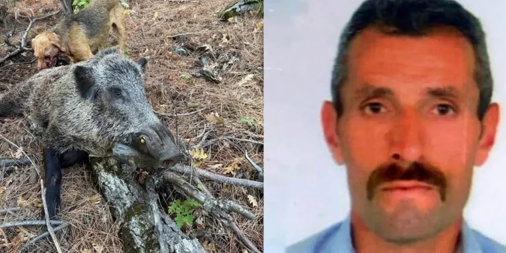 Cacciatore ucciso da maiale a Kemah, Erzincan