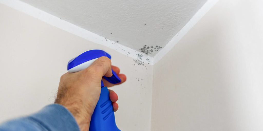 Famiglia di nove a Dortmund denuncia muffa: proprietario decide sfratto invernale