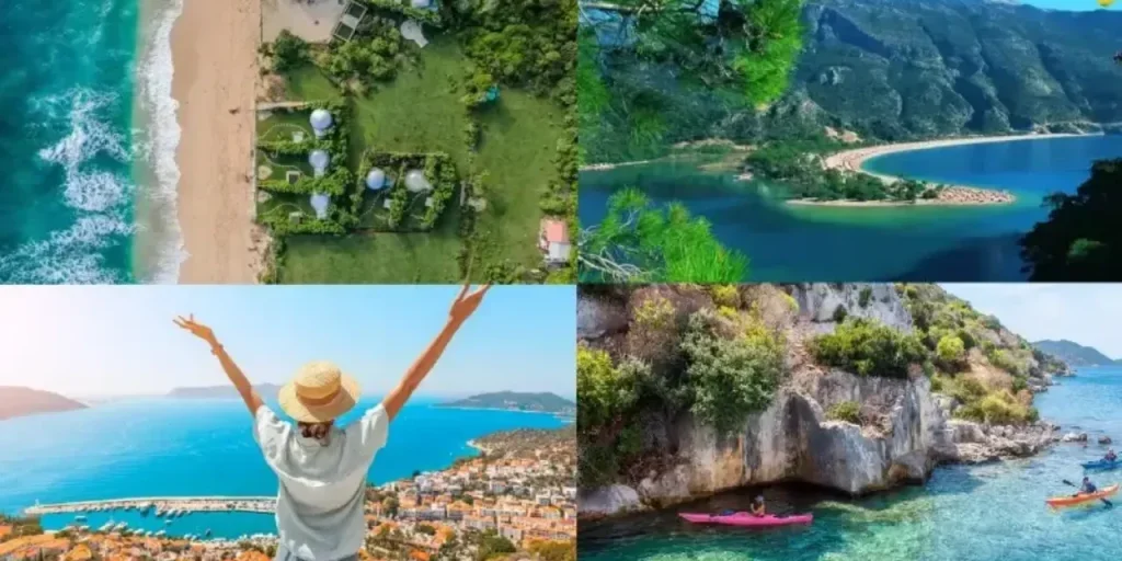 Impossibile procedere: testo dell’articolo non ricevuto