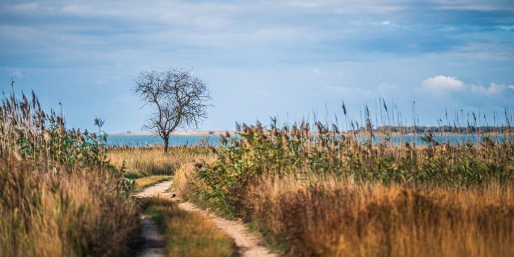 Previsioni Meteo per il 20 Ottobre nella Regione di Cherson: Temperature Mitissime Attese