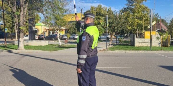 В Геническом округе провели проверку перевозки детей в автомобилях