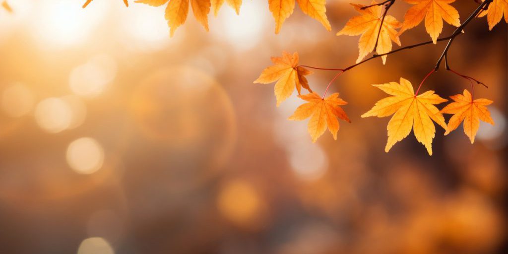 17 градусов тепла прогнозируют в Херсонской области 18 октября