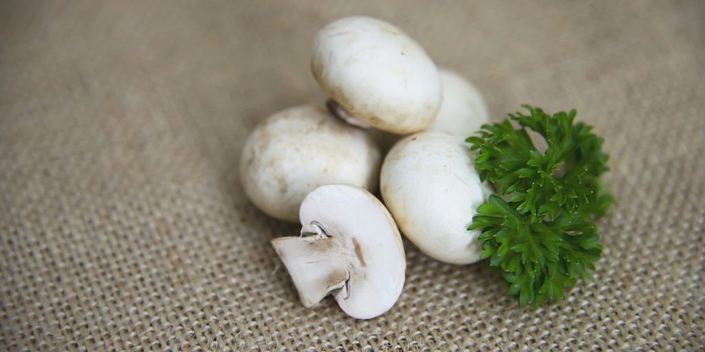 Минэкономразвития подало в суд на «Воронежский шампиньон» из-за 40 млн рублей