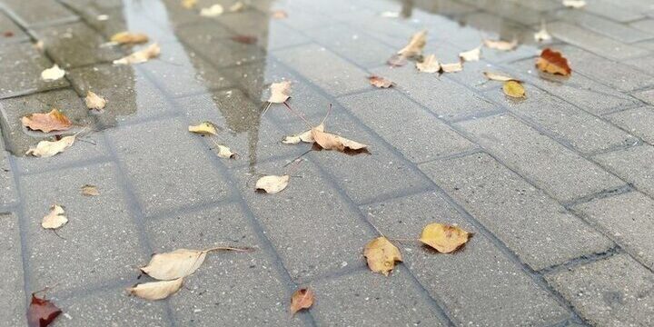 Previsioni Meteo per Belgorod: Piccole Piogge e Nebbia Attese nella Notte del 20 Settembre