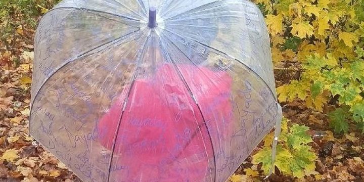 Forti Piogge nella Regione di Vladimir: Impatti e Sfide per la Popolazione Locale