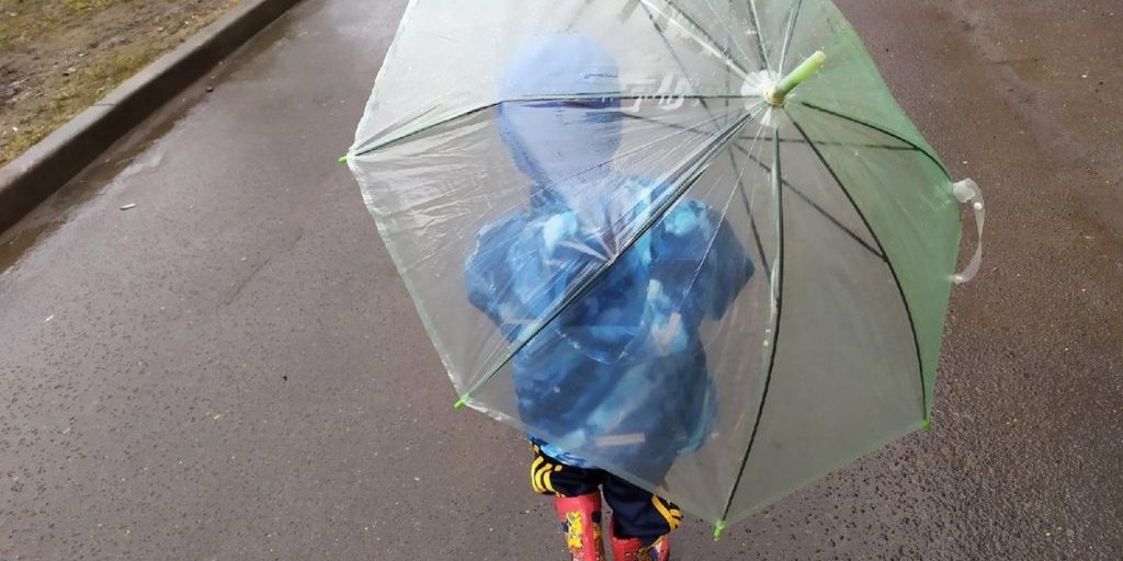 Вологодские семьи продолжат получать меры поддержки и в 2026 году