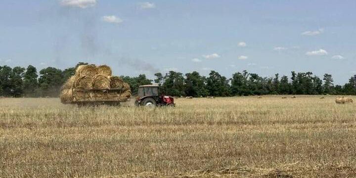 Аграрии Ставрополья завершили заготовку кормов для зимовки скота