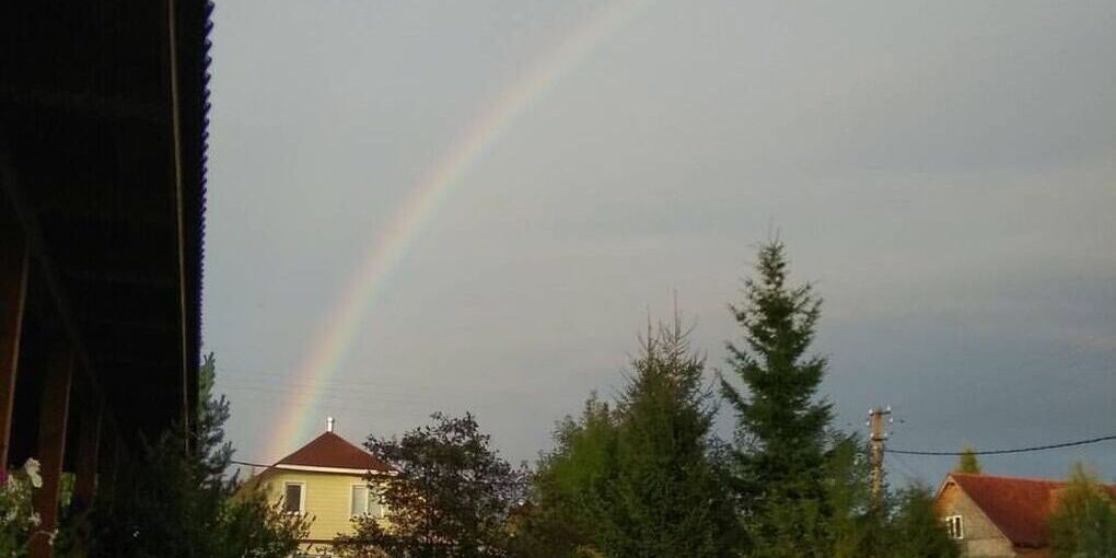 В Ленобласти вырос спрос на долгосрочную аренду загородного жилья на 8%