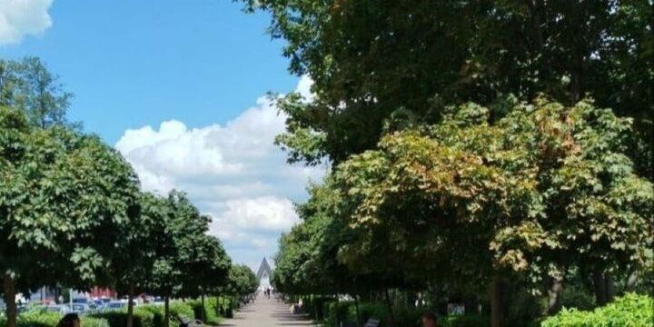 Стал известен размер прожиточного минимума воронежцев в 2026 году