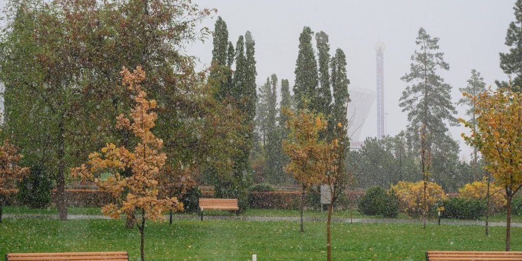 В Волгоградской области 13 октября ожидается сильный ветер и похолодание до +12℃