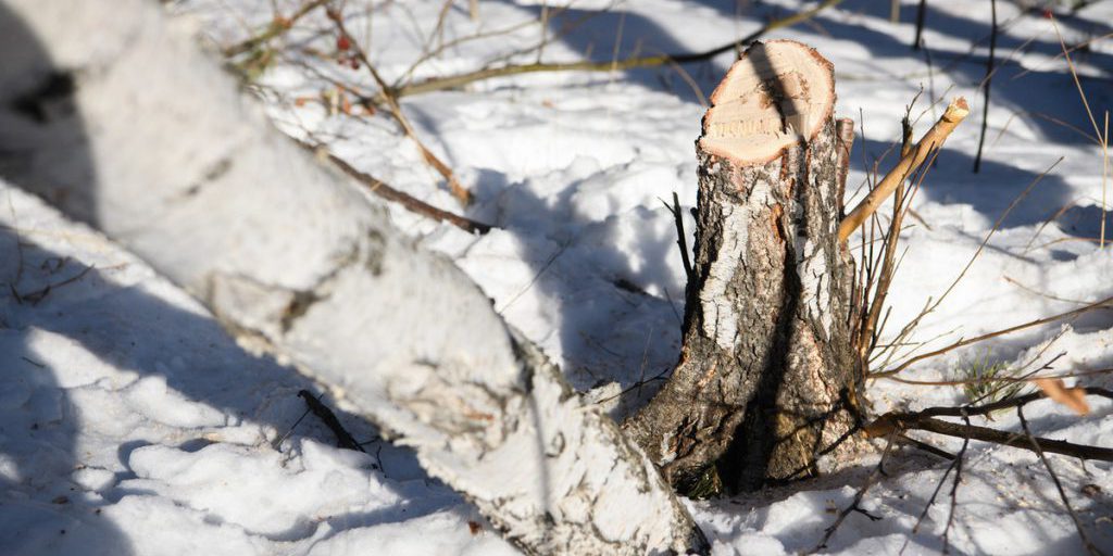 Неожиданно стали известны детали климатического спора Финляндии и ЕС