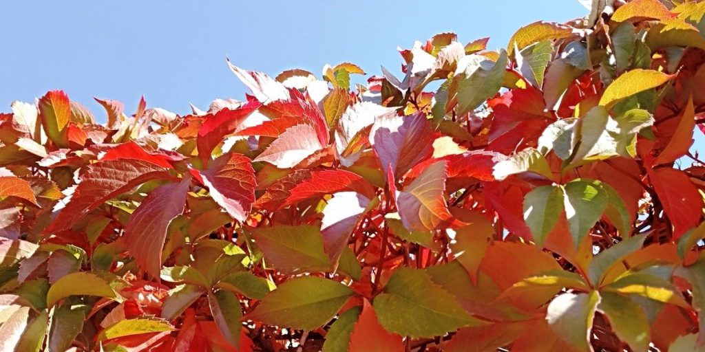 Сила магнитной бури 13 октября составит 4 балла: неблагоприятная пора для новых начинаний