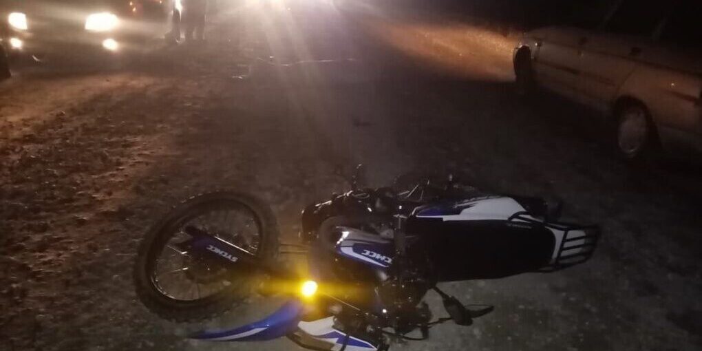 Водитель гужевой повозки скрылся с места смертельного ДТП в Убинском районе