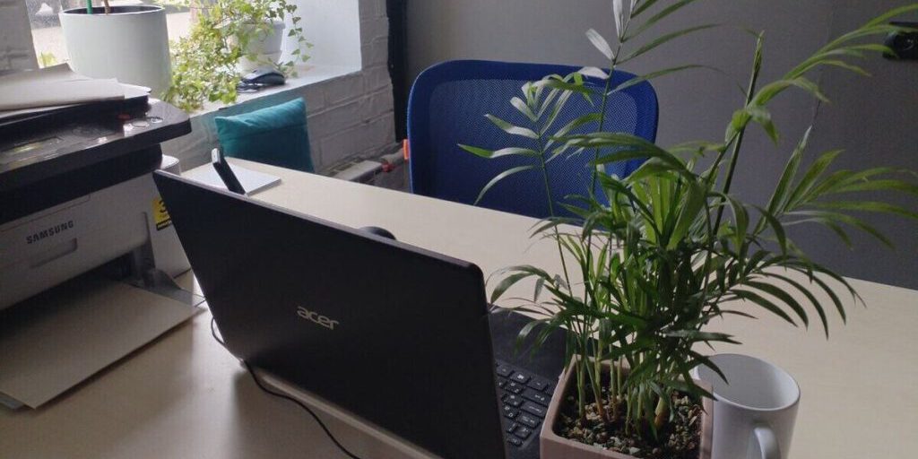 Ремонтный сервис помешал студенту в Петербурге писать дипломную работу