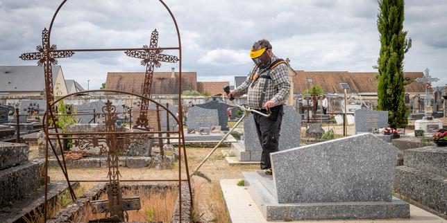 Dispositivo Territori Zero Disoccupazione di Lunga Durata: Bilancio e Prospettive per il Futuro