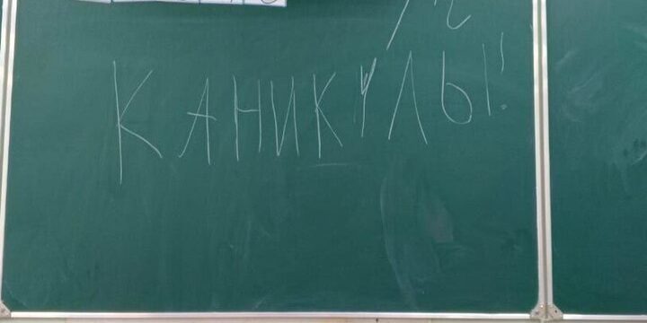 Ленинградским школьникам предложили провести осенние каникулы со смыслом