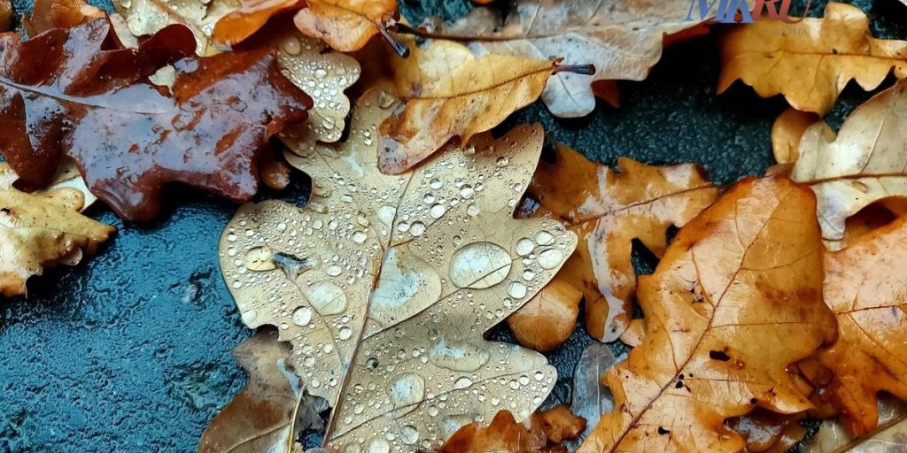 Калужские синоптики предупреждают о сером и сыром воскресенье