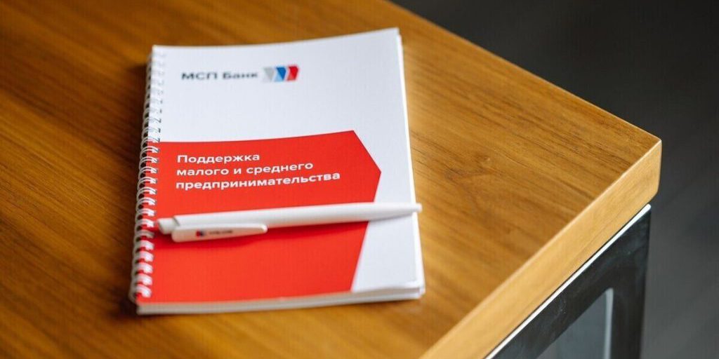 Бизнес Донбасса и Новороссии может получить почти 1,8 млрд рублей микрозаймов через МСП.РФ