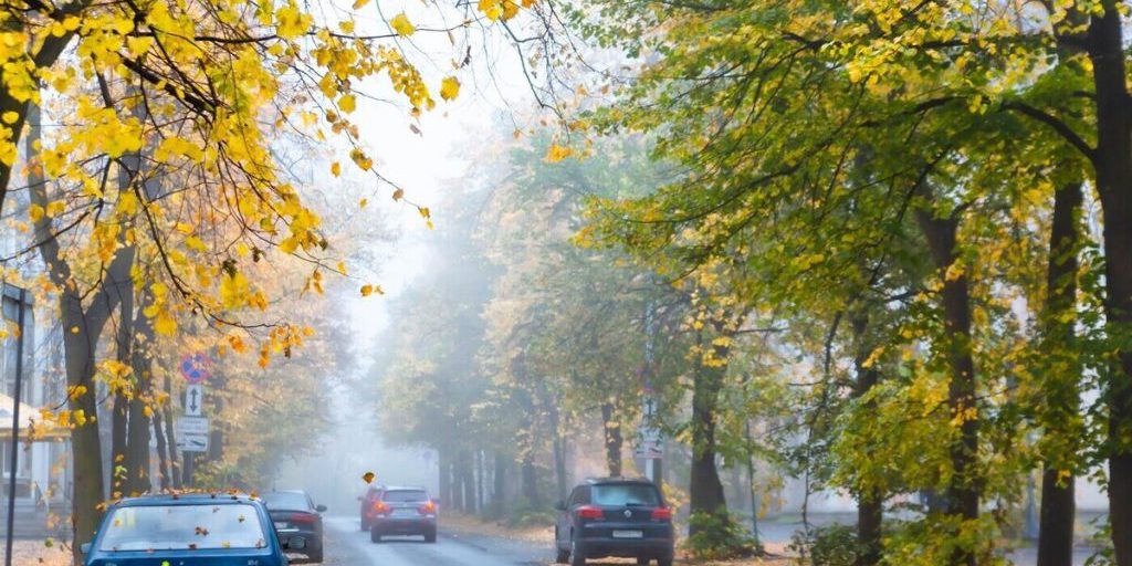 Emergenza ambientale in Carelia: nebbia radioattiva causa preoccupazione e azioni di sicurezza