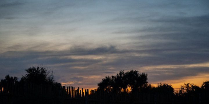 Celebrazione del Giorno di Pietro e Paolo Rjabinnikov: Tradizioni e Significato di un'Antica Ricorrenza