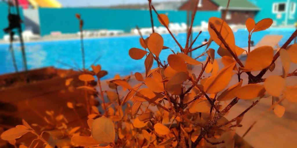 На Ставрополье поддерживают инвесторов в создании термальных курортов