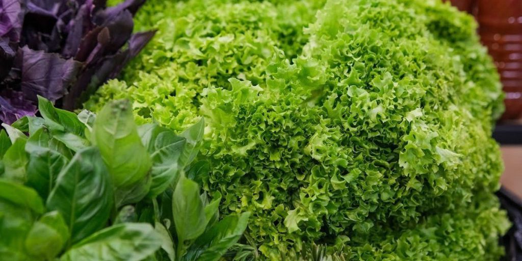 Dieta consapevole e bilanciata per evitare il disagio a Volgograd