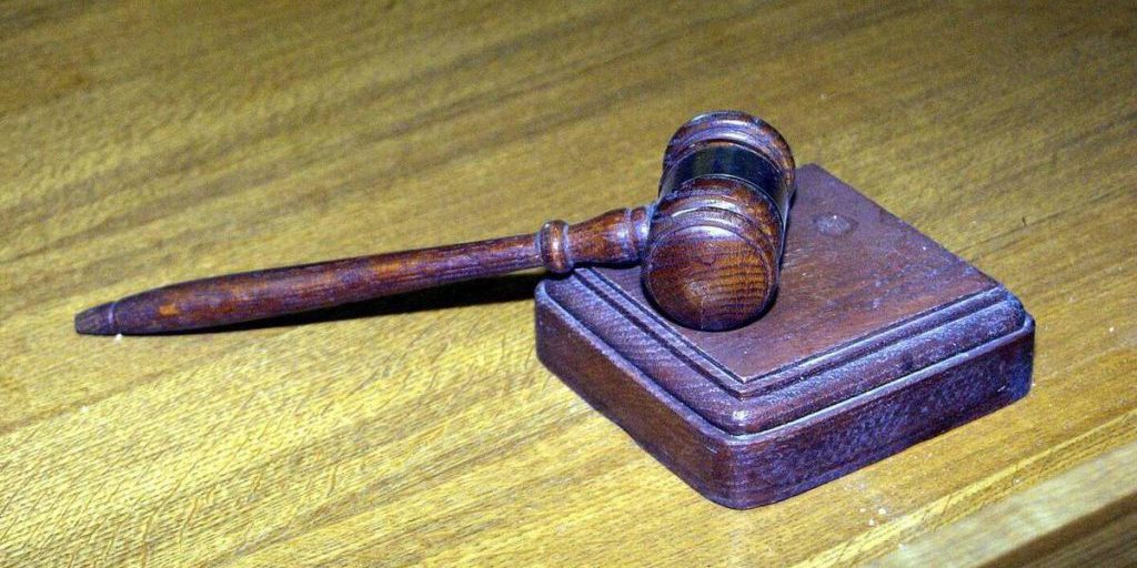 Против иноагента Ксении Лученко* возбудили уголовное дело