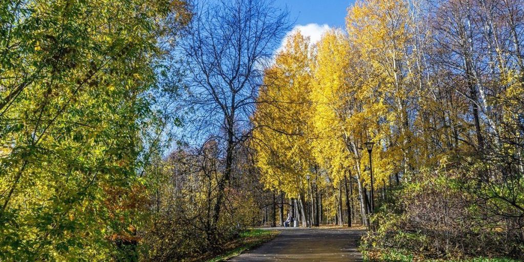Солнечный Петрозаводск попал в объектив камеры фотографа из Петрозаводска