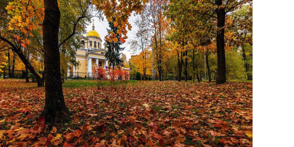 Карелию накроет октябрьская прохлада: 12 октября ожидается дождь и понижение температуры