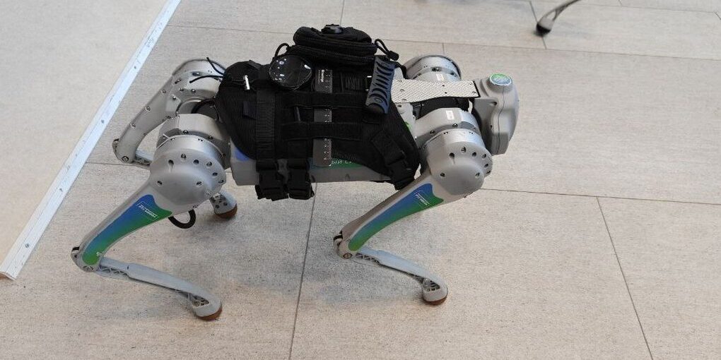 На курорте Игора случилась «Битва роботов» под руководством программистов