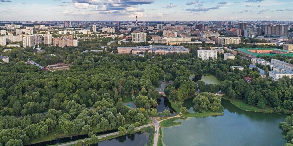 Задержан насильник, напавший на девушку в Лефортовском парке