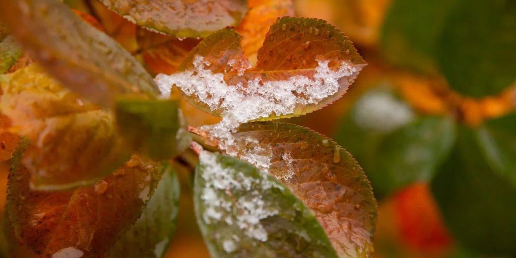 La Carelia si avvia verso l'inverno: cosa significa e quali saranno le conseguenze
