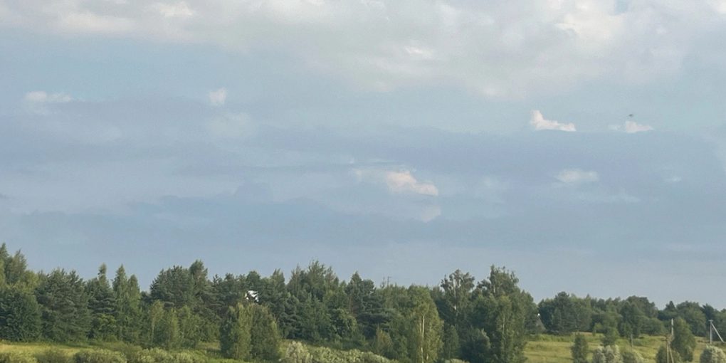 В Орловской области завершился пожароопасный сезон