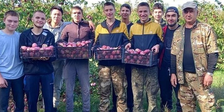Студенты Калмыкии помогают в сборе урожая яблок