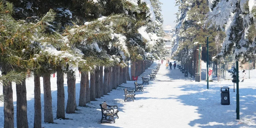 Temperatura di -28 °C a Muş, Turchia: neve, laghi ghiacciati e ghiaccio sulle case
