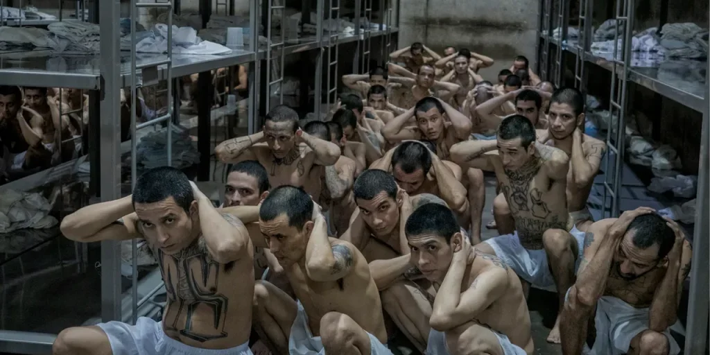 Mi dispiace, ma non ho ricevuto il testo dell’articolo da riscrivere. Per favore, inviami il contenuto originale in modo che io possa procedere con la riscrittura secondo le indicazioni.