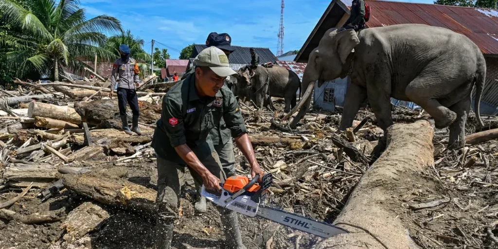 Richiesta di invio articolo completo per procedere alla riscrittura