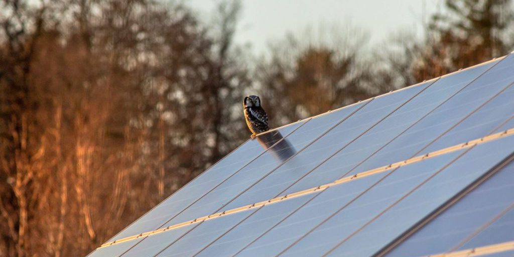 "Scandalo finanziamenti per parchi solari in Val Venosta: irregolarità e trasparenza in discussione"