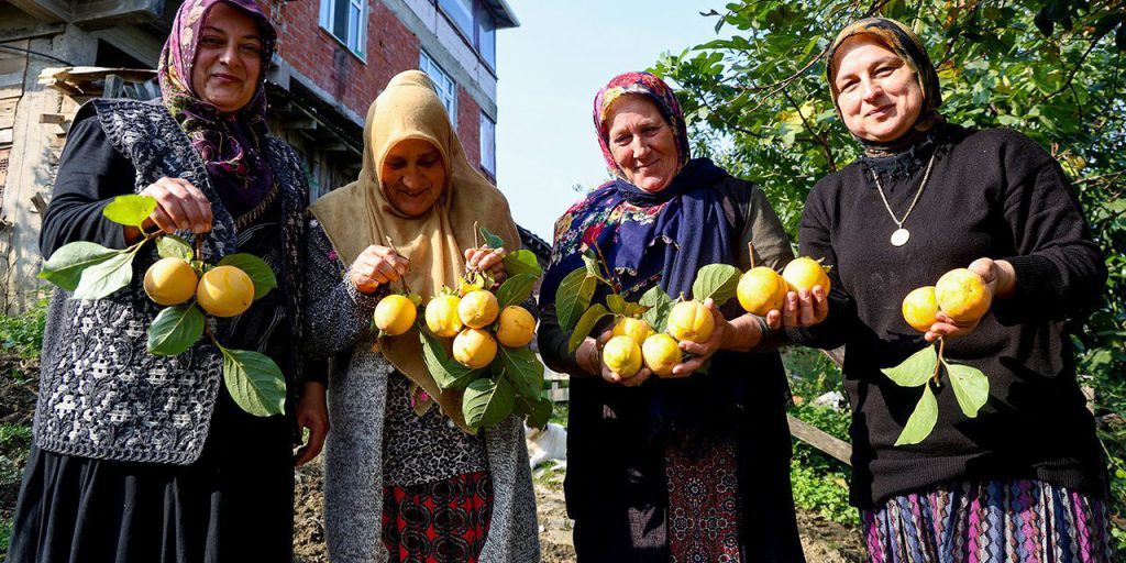 Donne in prima linea: una nuova fonte di reddito attraverso la produzione di datteri secchi di alta qualità