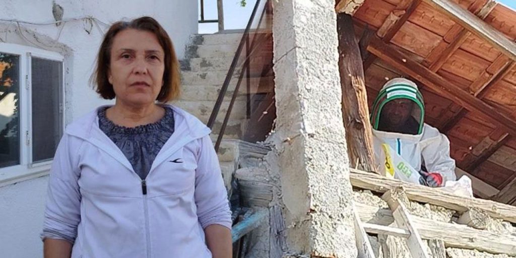 Donna Ricoverata in Ospedale Dopo Puntura di Ape: La Prevenzione è Fondamentale