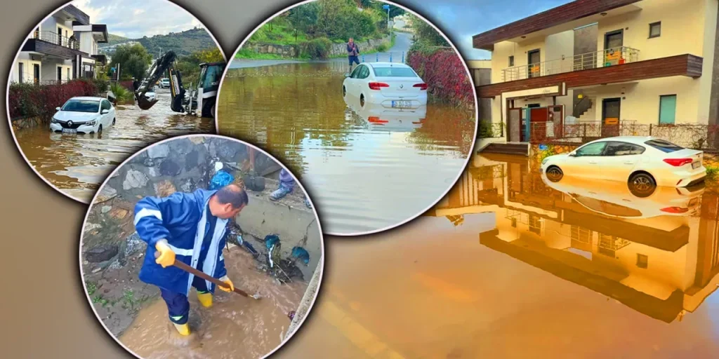 Richiesta di invio del testo originale per la revisione