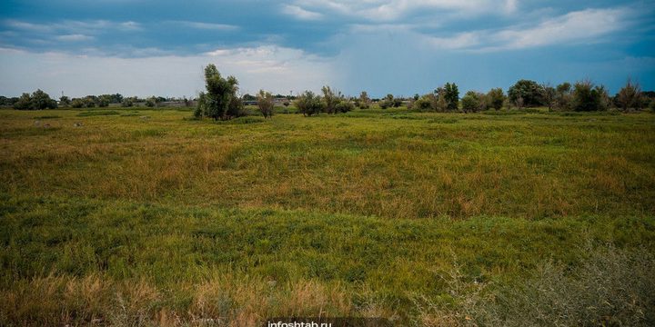 В Астраханской области обнаружили загрязнение почвы