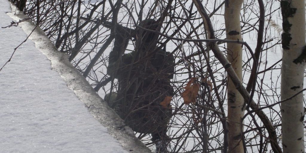 Сезон охоты на пушного зверя стартует в Вологодской области