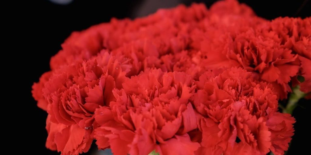 Morte di un abitante della regione di Volgograd nella zona dell'operazione militare speciale: un atto di coraggio e dedizione