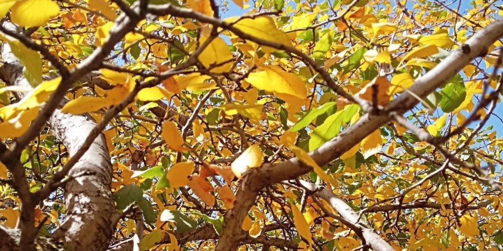 Сила магнитной бури 5 октября составит 5 баллов: наиболее удачное время для решительных шагов