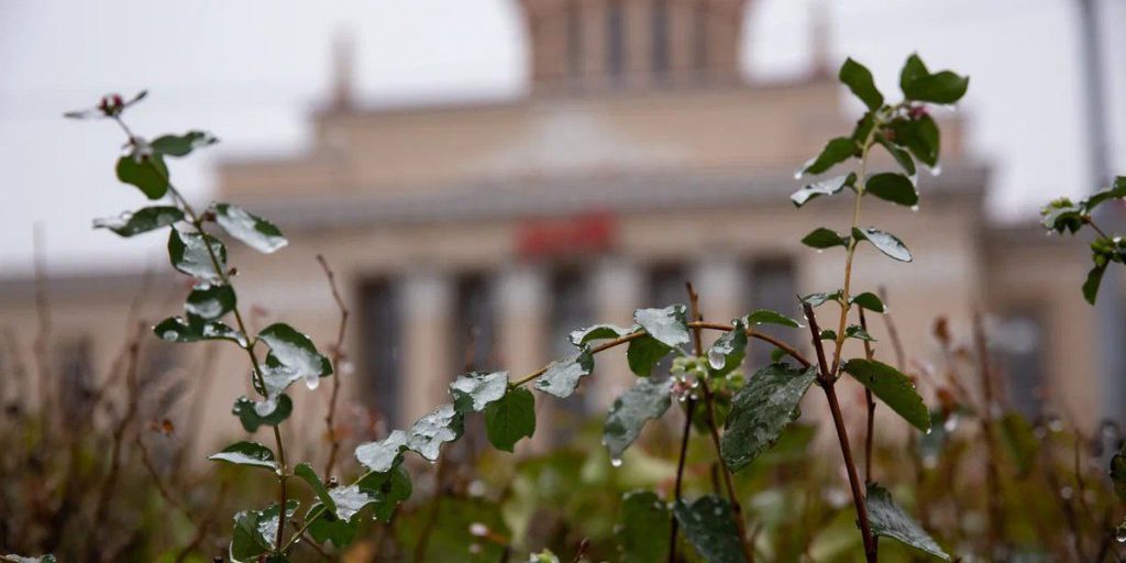 В Карелии ожидаются первые признаки зимы – заморозки и снегопад