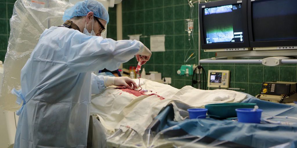 В Госдуме предложили расширить список ветеранов СВО