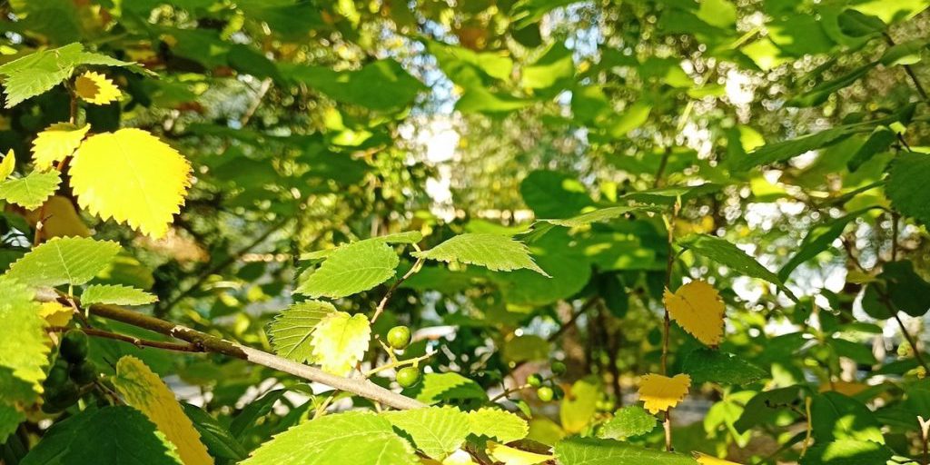 "Tempeste geomagnetiche: come proteggersi e reagire durante un evento magnetico"