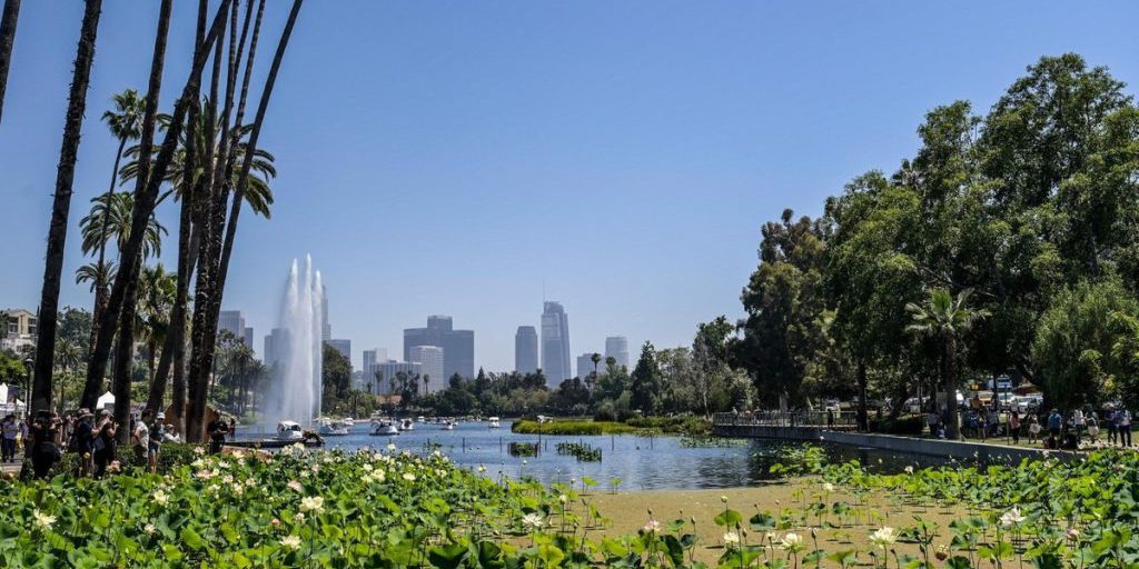 В Таиланде нашли привязанный к бревну труп женщины с отрубленной рукой