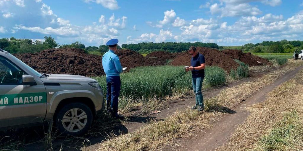 Липецкие экологи обнаружили куриный помет в водоохранной зоне